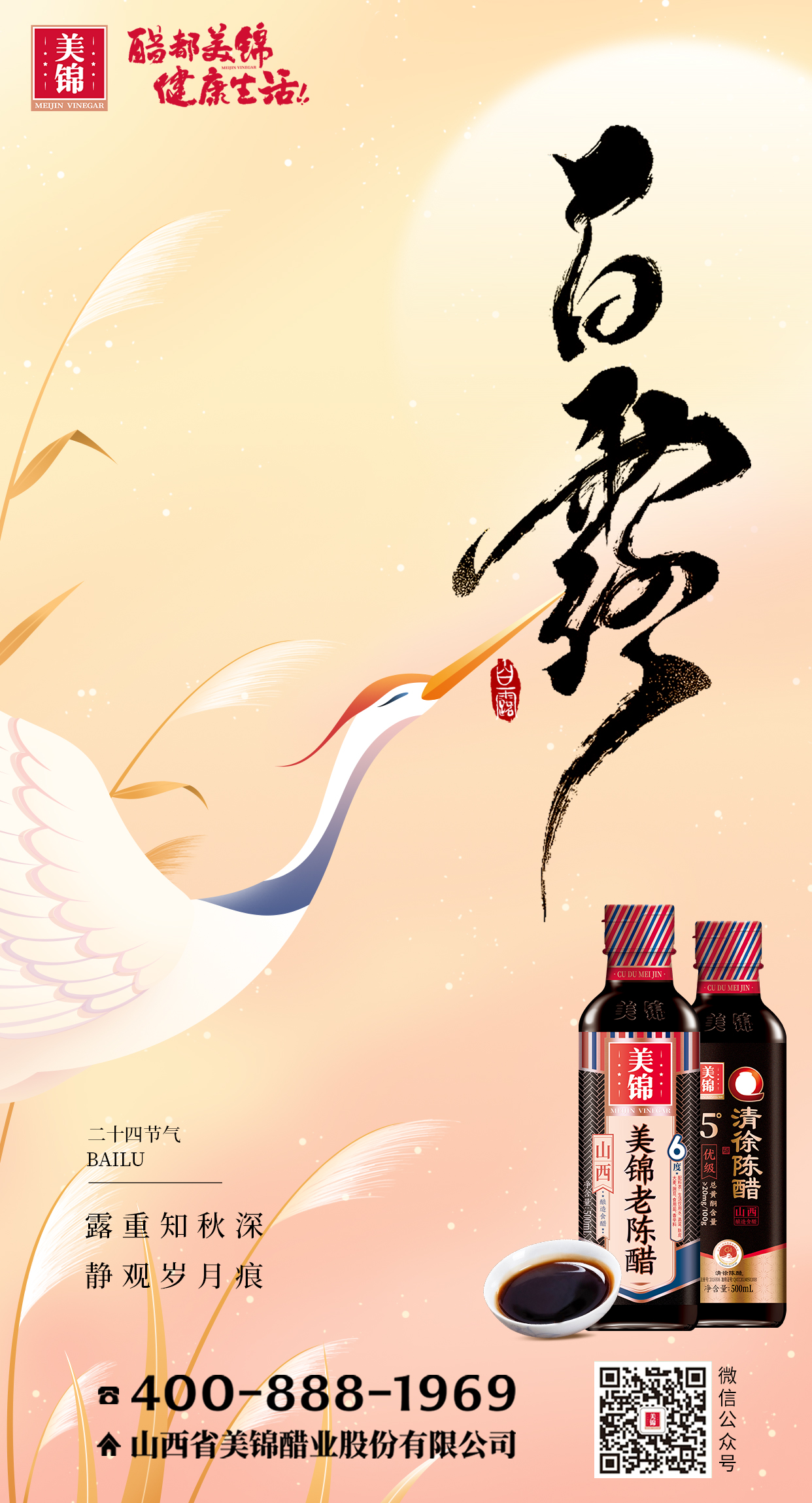 白露大.jpg
